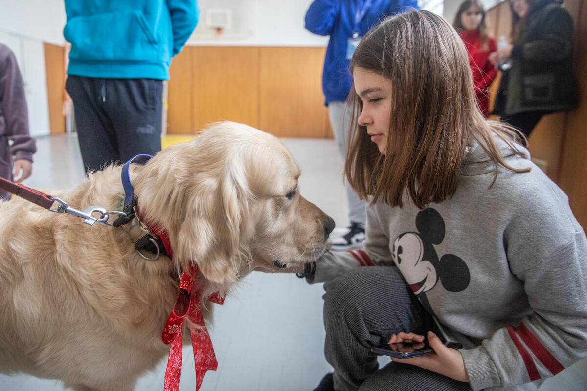 Karina, 13, sidder på hug og kærtegner terapihunden, Parker.