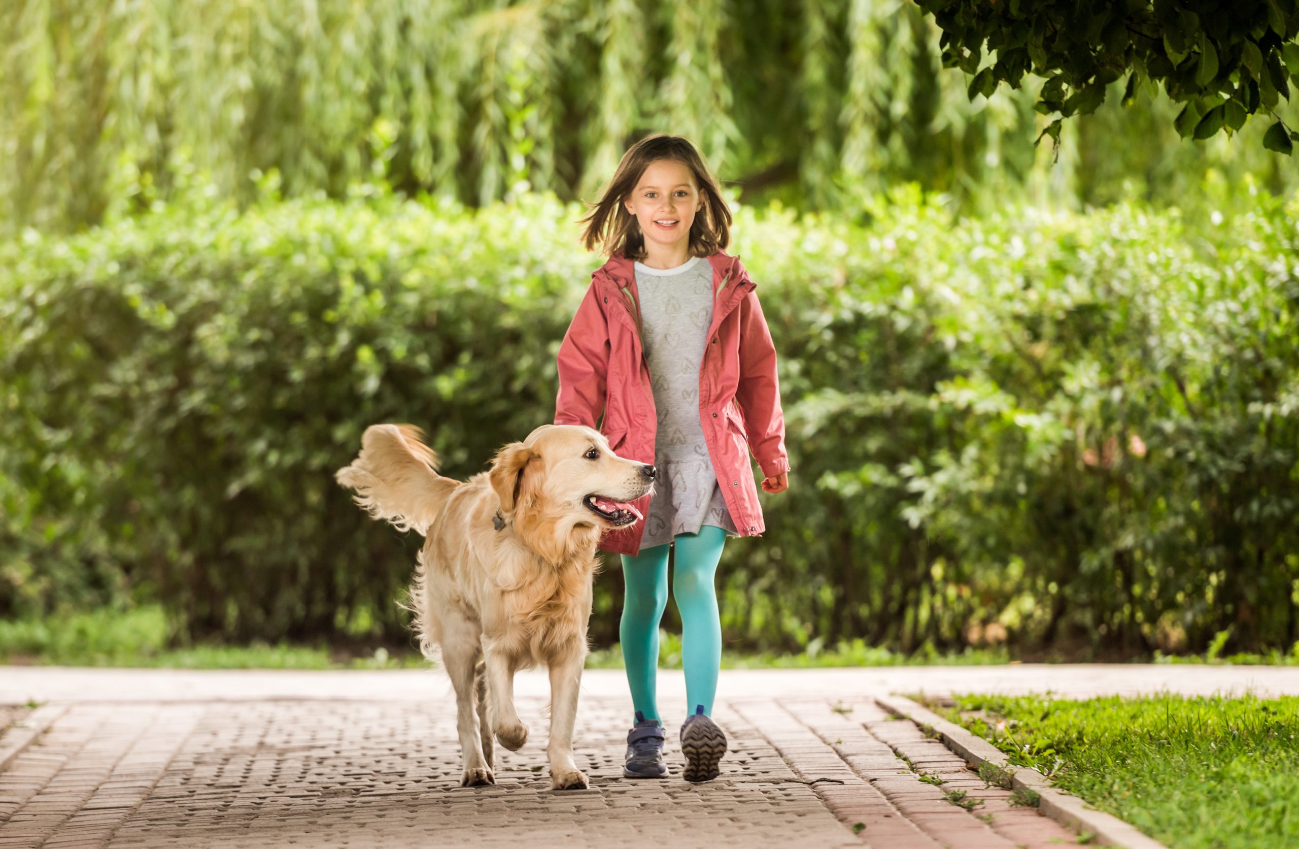 Little,Girl,With,Dog,Going,Along,Alley
